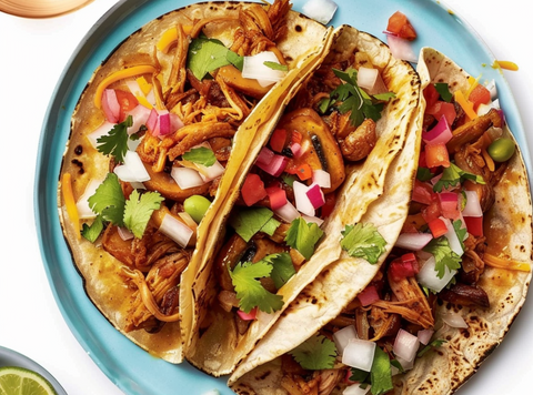 Gezogene Austernpilz -Tacos