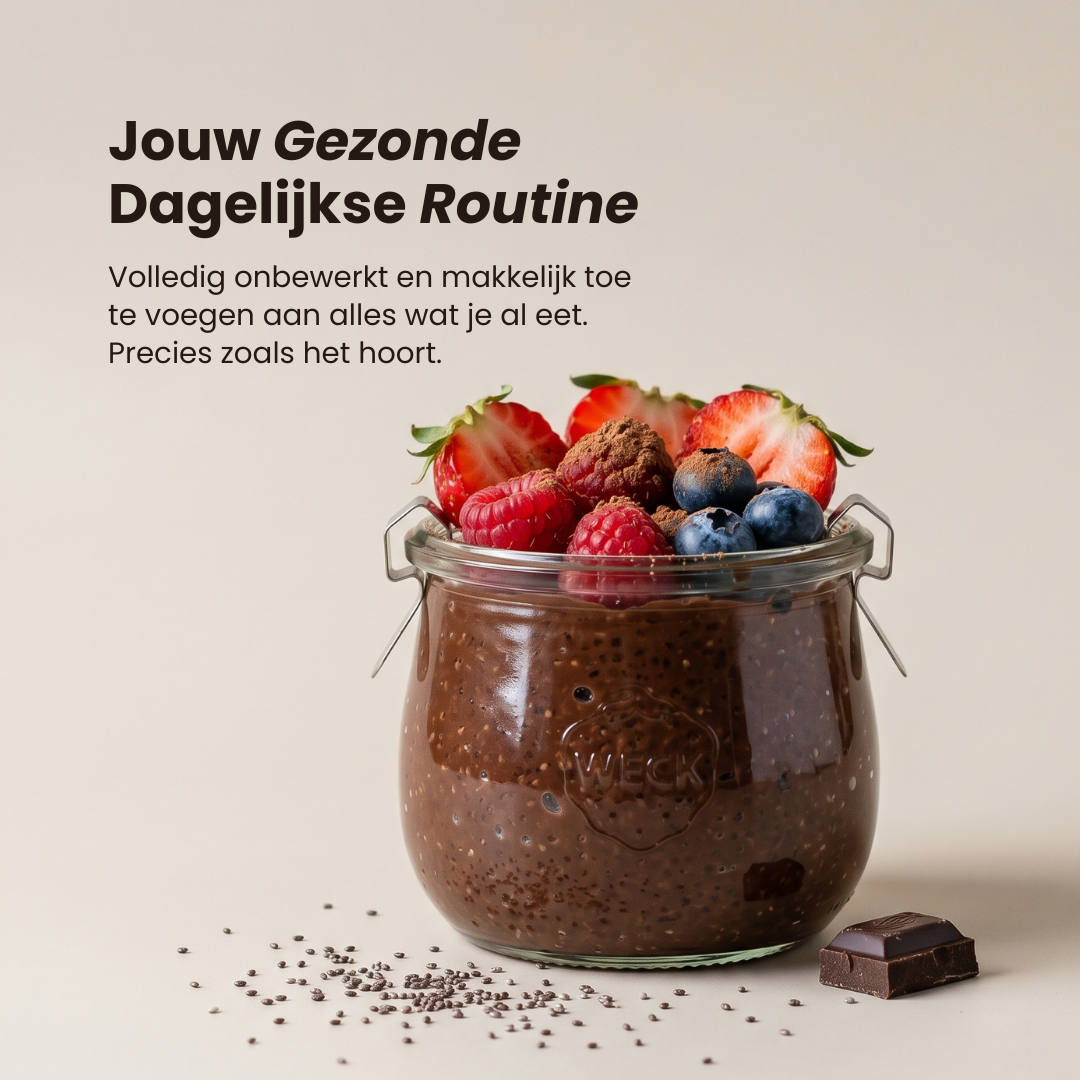 Chiapudding Bundel