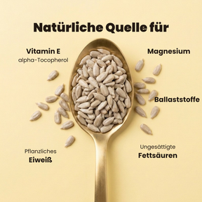 Sonnenblumenkerne – Löffel mit Sonnenblumenkernen und Labels: Vitamin E, Magnesium, Ballaststoffe, Pflanzliches Eiweiß, Ungesättigte Fettsäuren